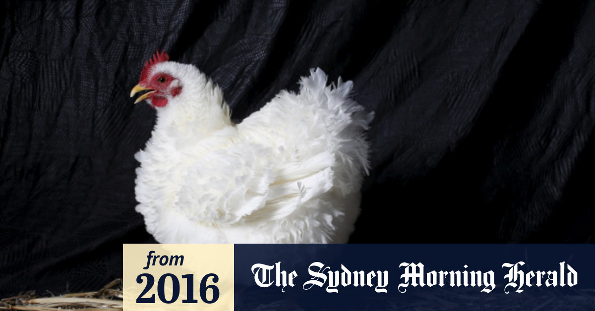 National Poultry Show